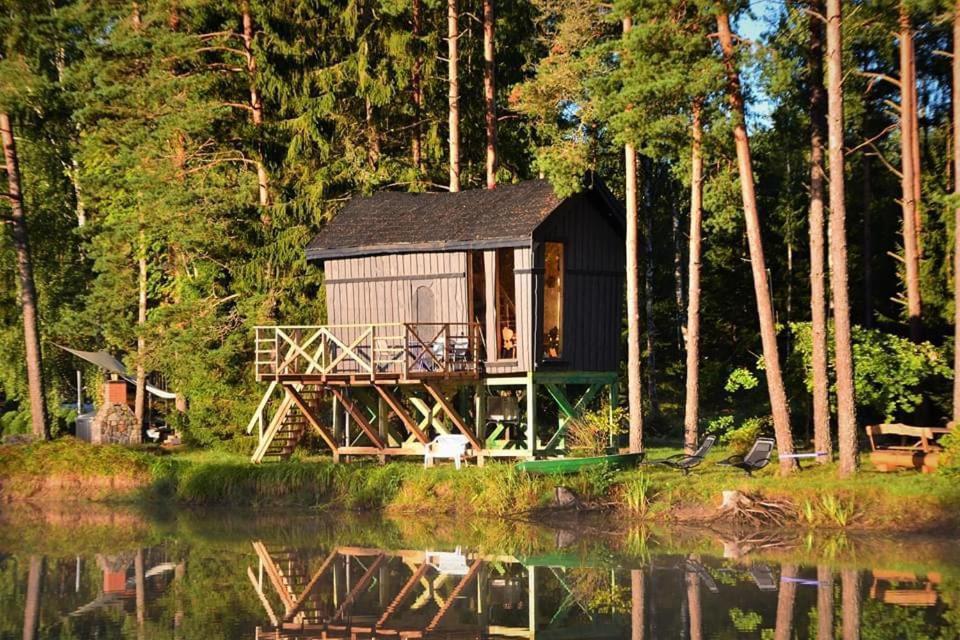 Dragon House In The Tree! Jacuzzi, Sauna ,Cinema,Heated Lici  Exteriér fotografie